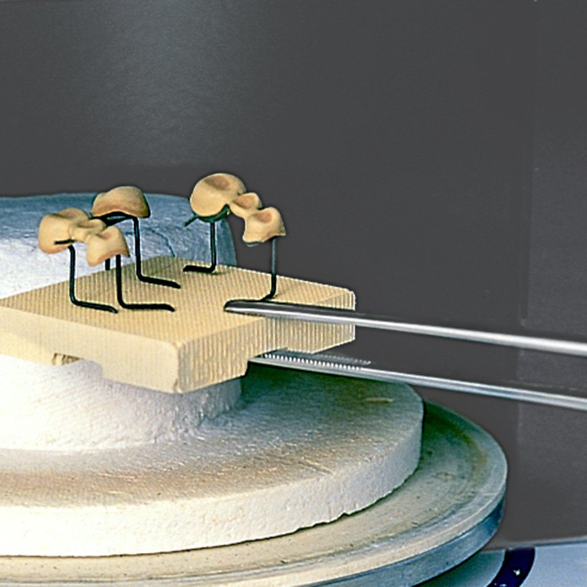 Mesh-Tray